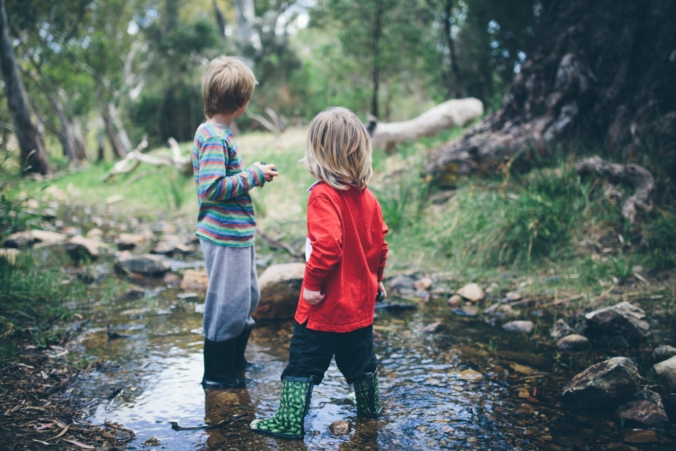 kids playing in a creek-credit Jason Tyndall