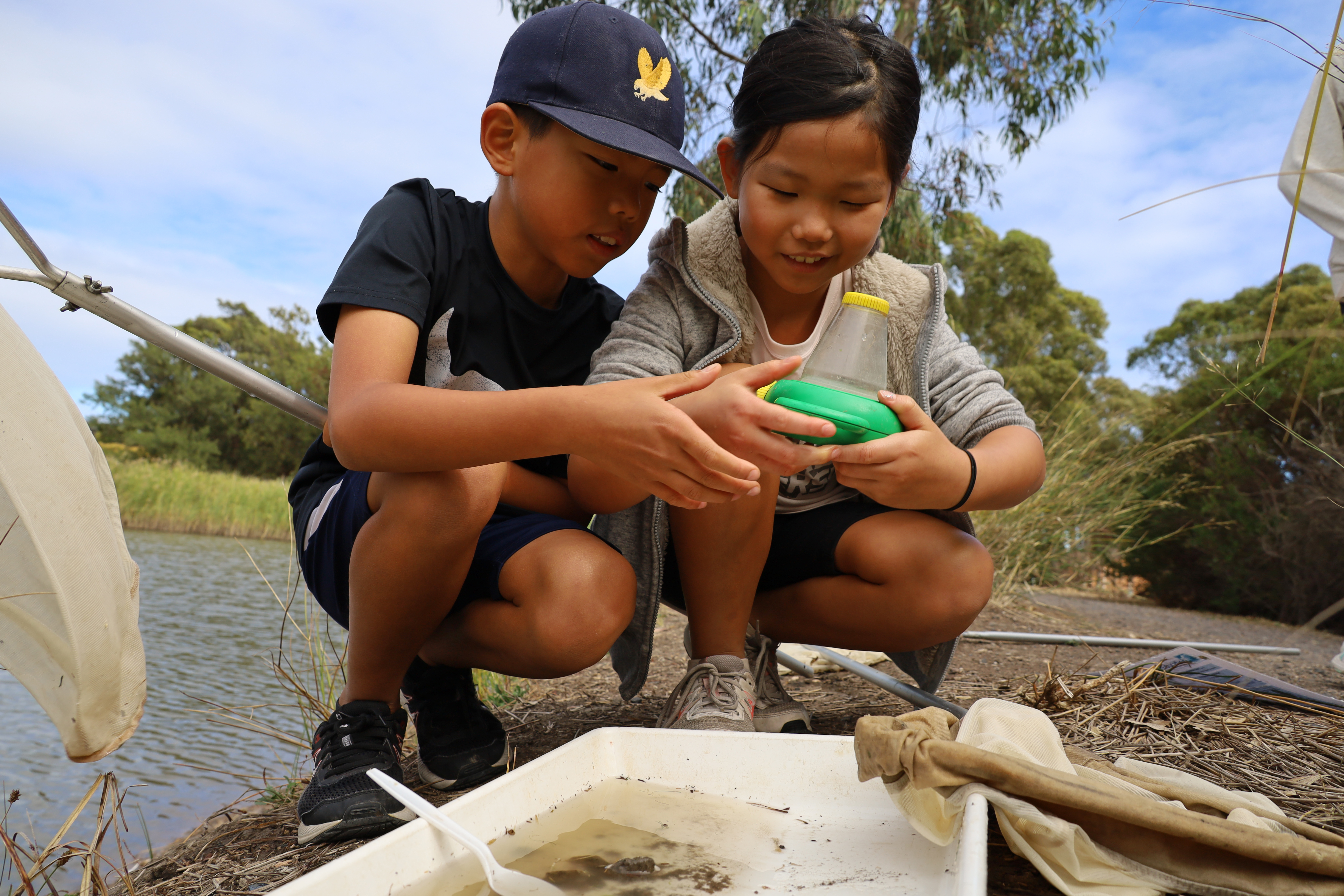 A young boy and girl inspecting a sample of water they collected at the edge of a lake.