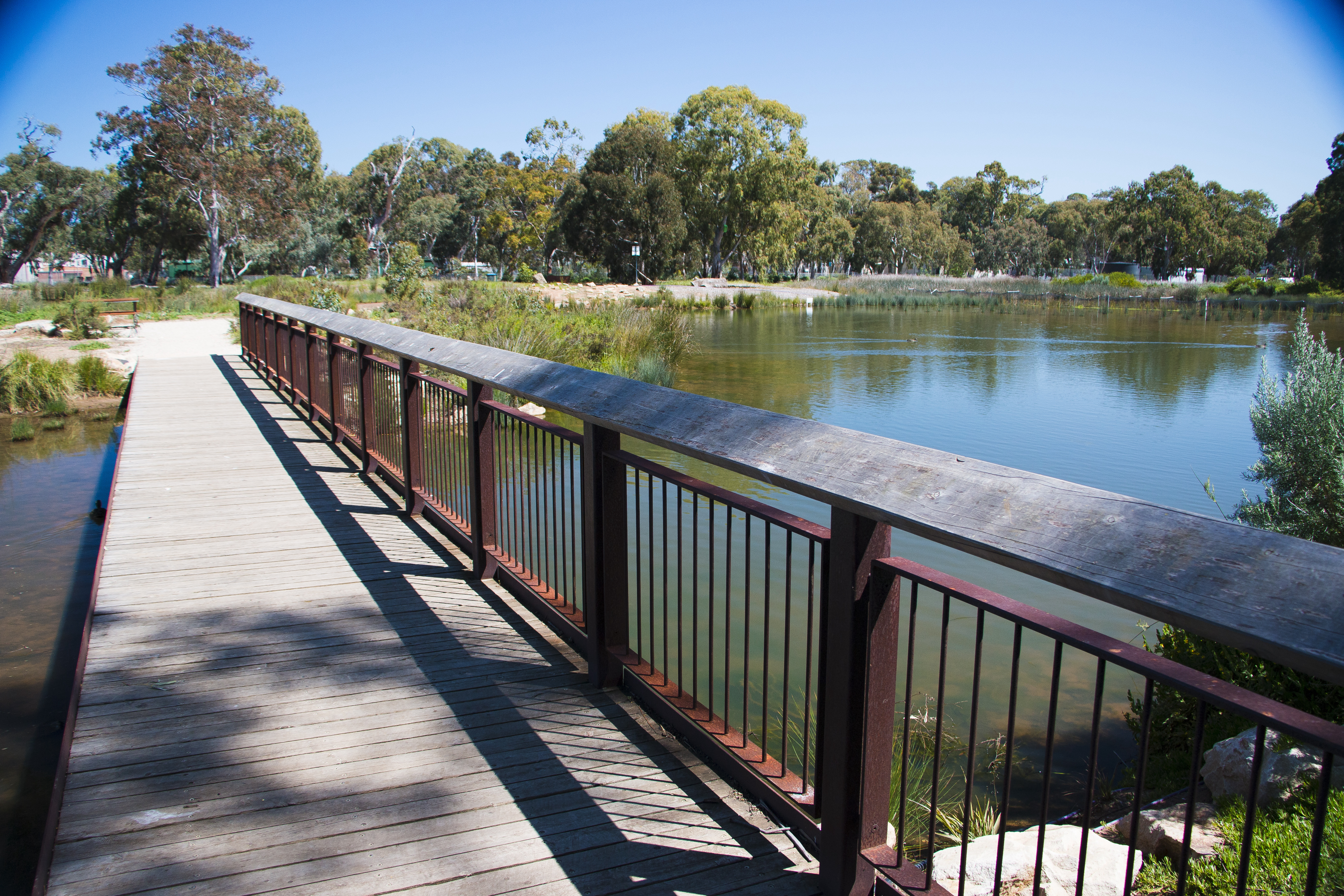 Oaklands Wetland bridge