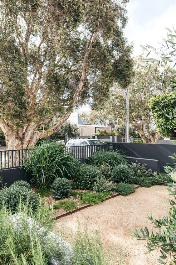 A formal garden design with tidy native plants in a front yard.