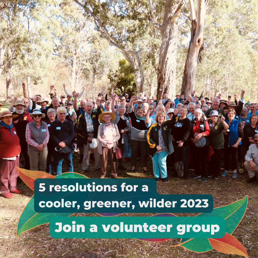 A group of volunteers stand smiling looking at the camera with trees in the background