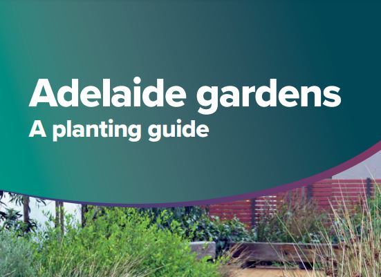 Adelaide gardens planting guide - Green Adelaide