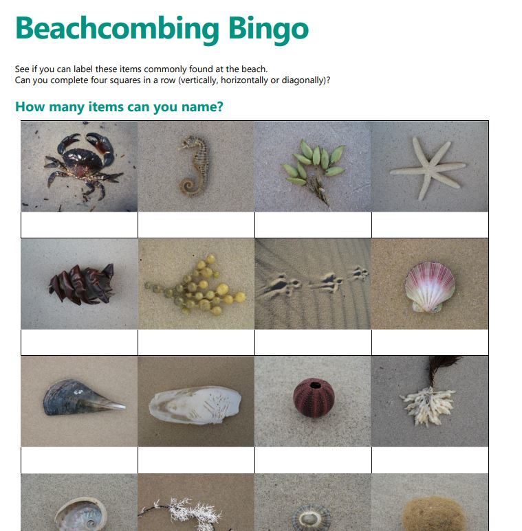 Beachcombing bingo - Green Adelaide