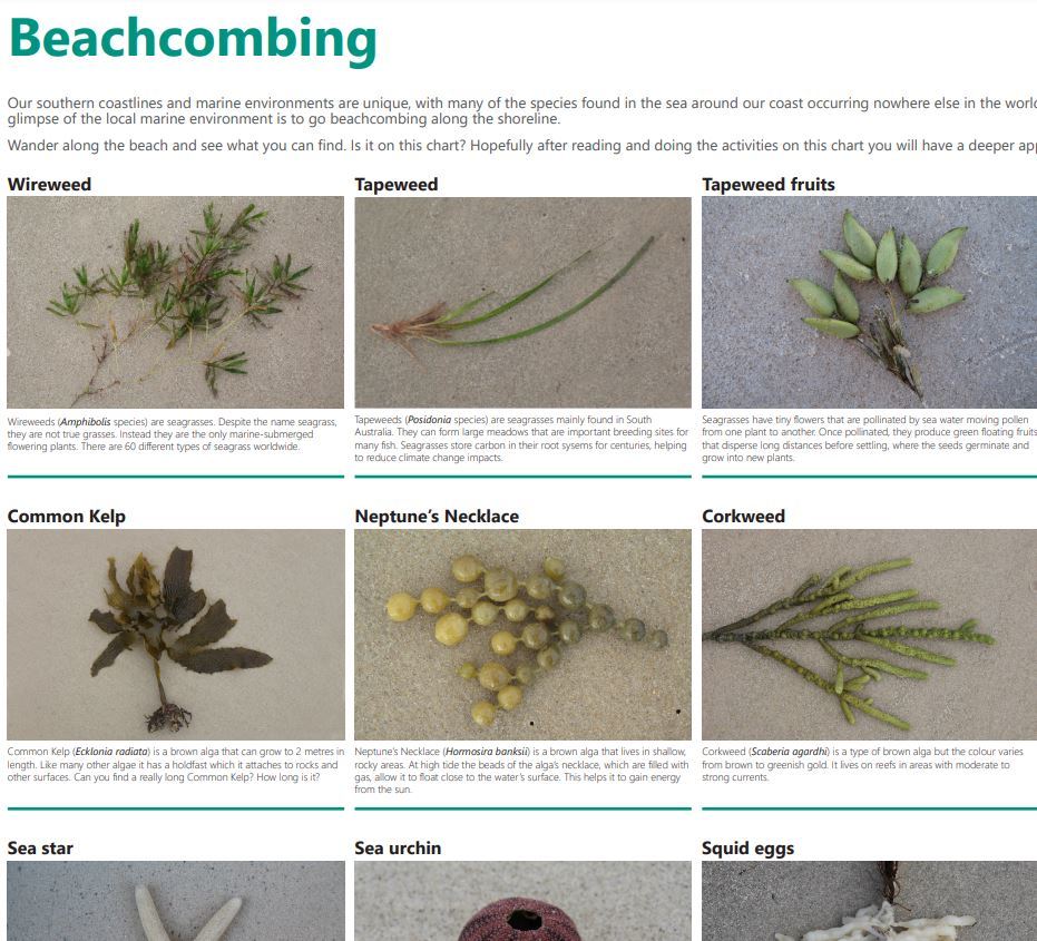 Teaching resources - Green Adelaide