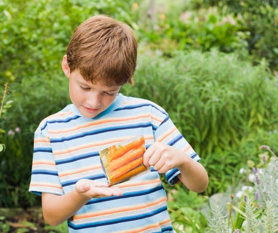 9 vegetables best grown from seed - Green Adelaide