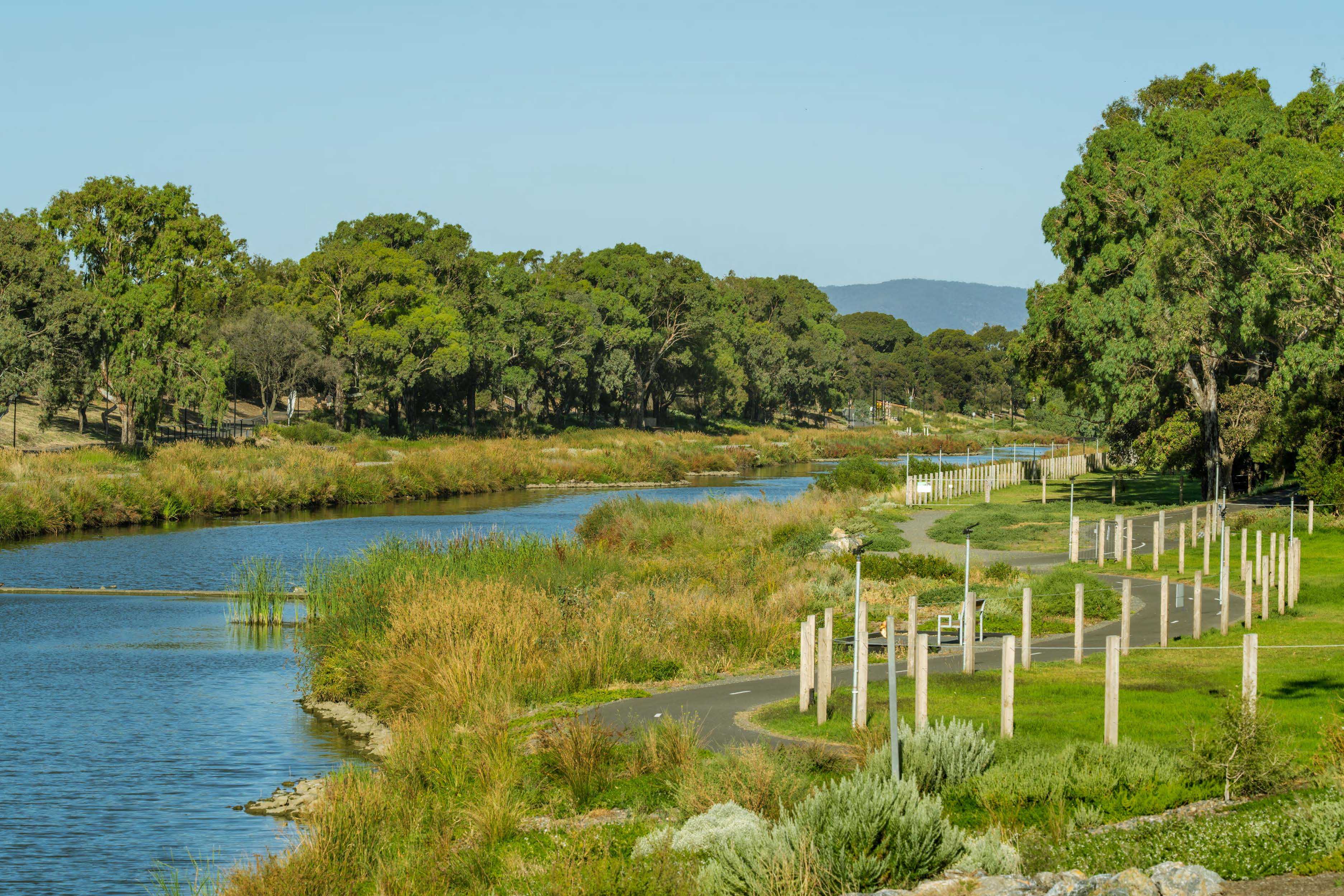Image of Breakout Creek Stage 3, now with native plants and wetlands
