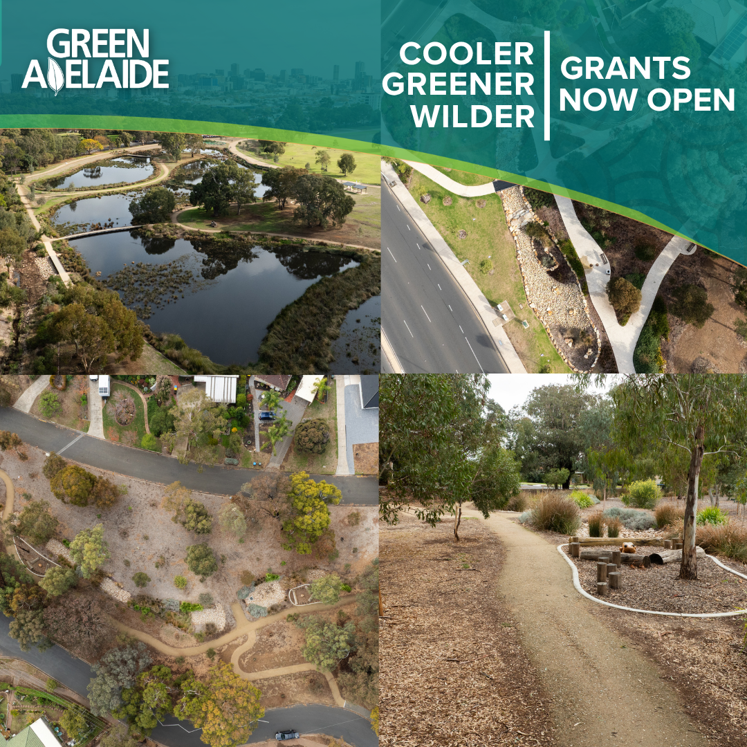 Cooler, Greener, Wilder