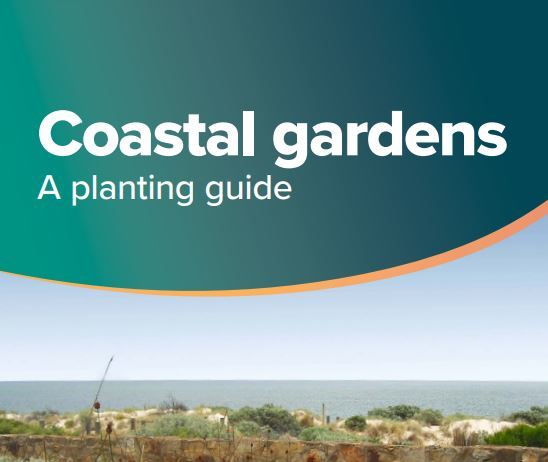 Coastal gardens planting guide (for those living closer to the beach) - Green Adelaide
