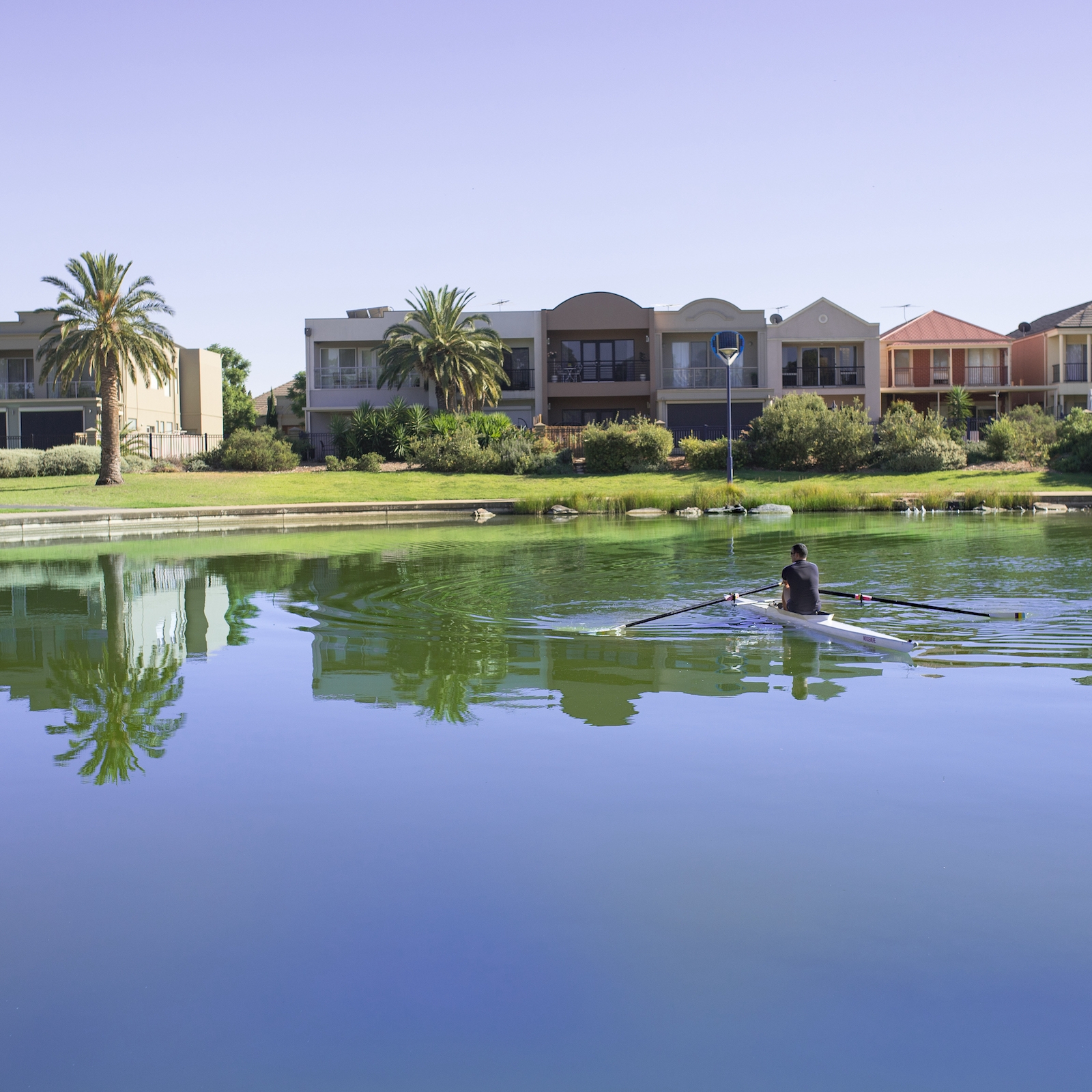 Water sensitive urban design (WSUD) and biodiversity sensitive urban design (BSUD) are ways of designing new developments and infrastructure to provide a positive impact on the surrounding environment.