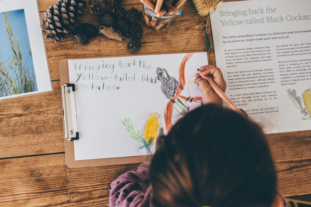 For teachers - Green Adelaide