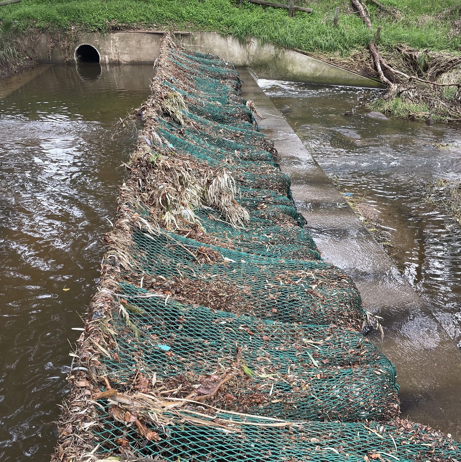 ANSWERED Why Is There Trash In The River Torrens Green Adelaide