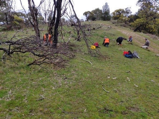 FoBHM members working with the 4WD club at Ambers Gully