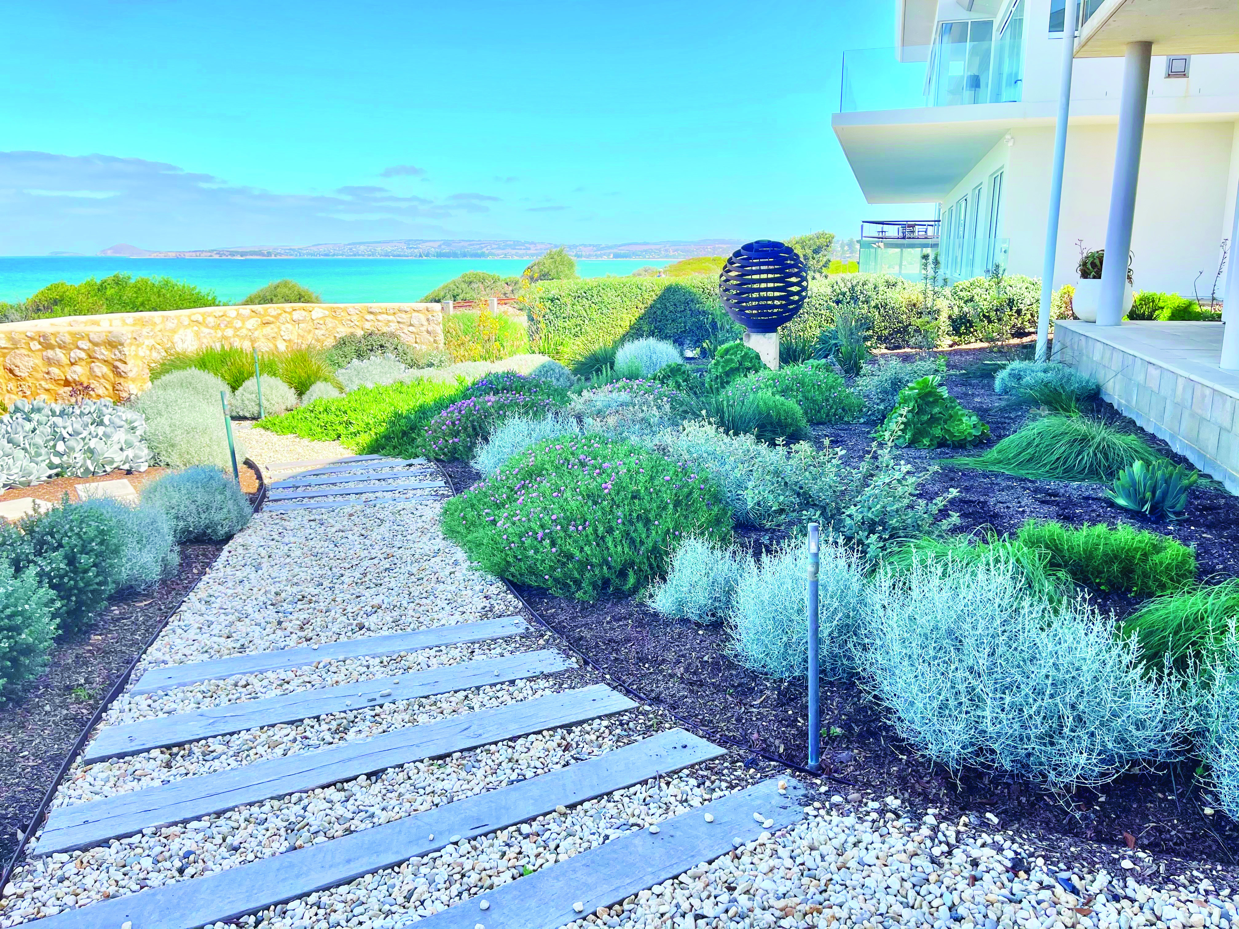 A beautiful coastal garden-credit Catnik Studios.