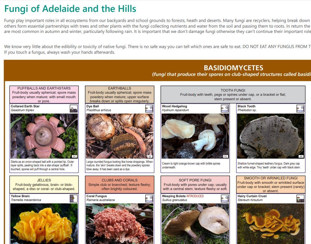 Fungi identification chart - Green Adelaide