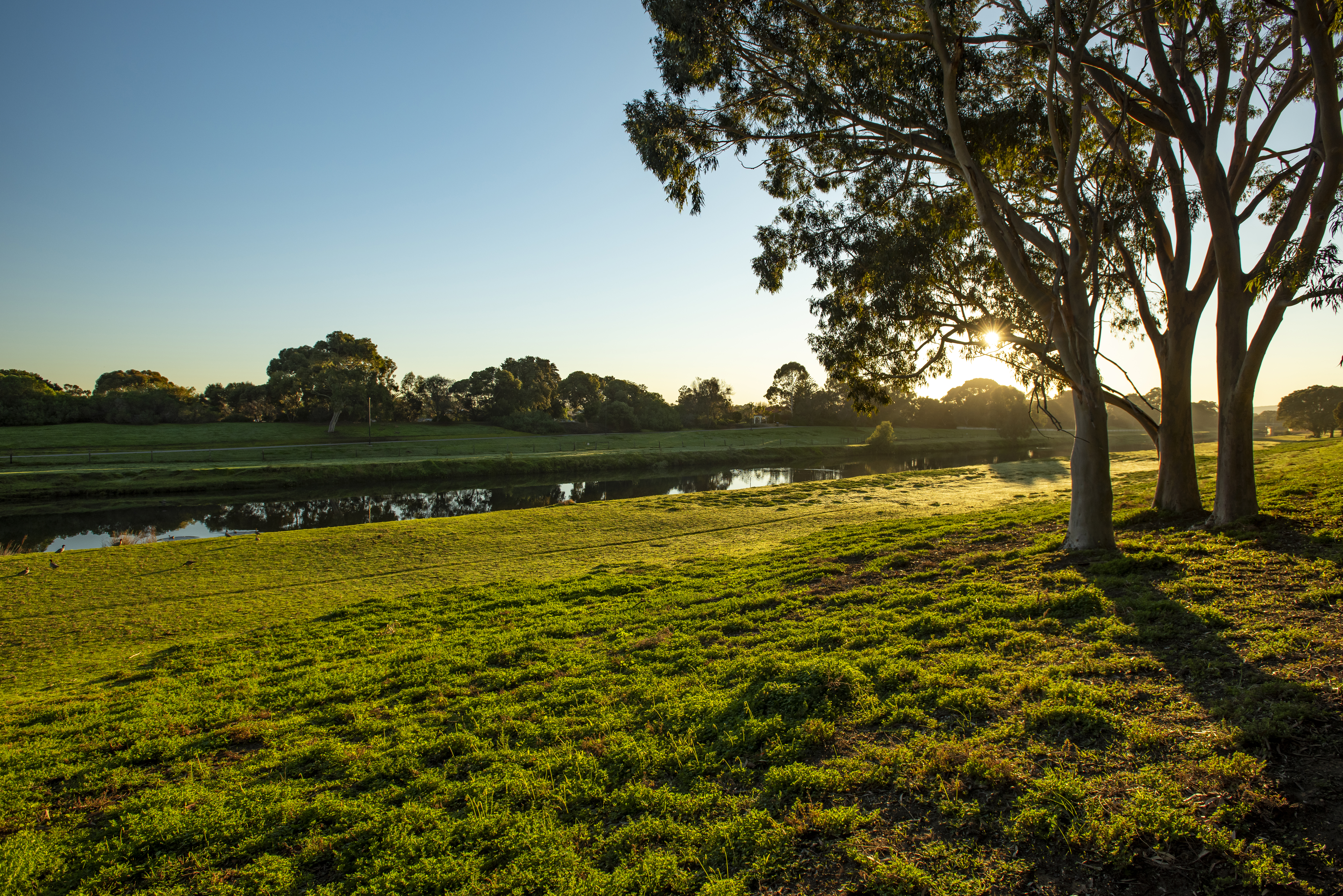 Breakout Creek designs get the go-ahead - Green Adelaide