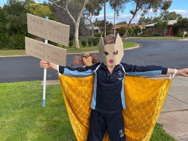 Eight-year-old Amos loves grey-headed flying-foxes