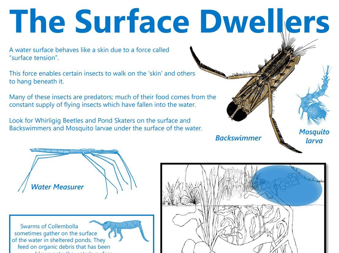 Habitat zones posters - Green Adelaide
