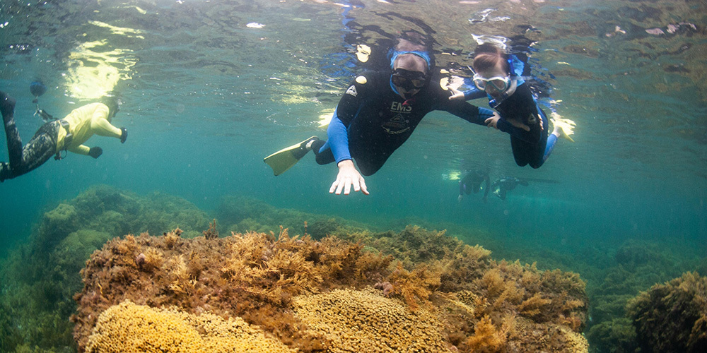 Person snorkeling at Gawler River