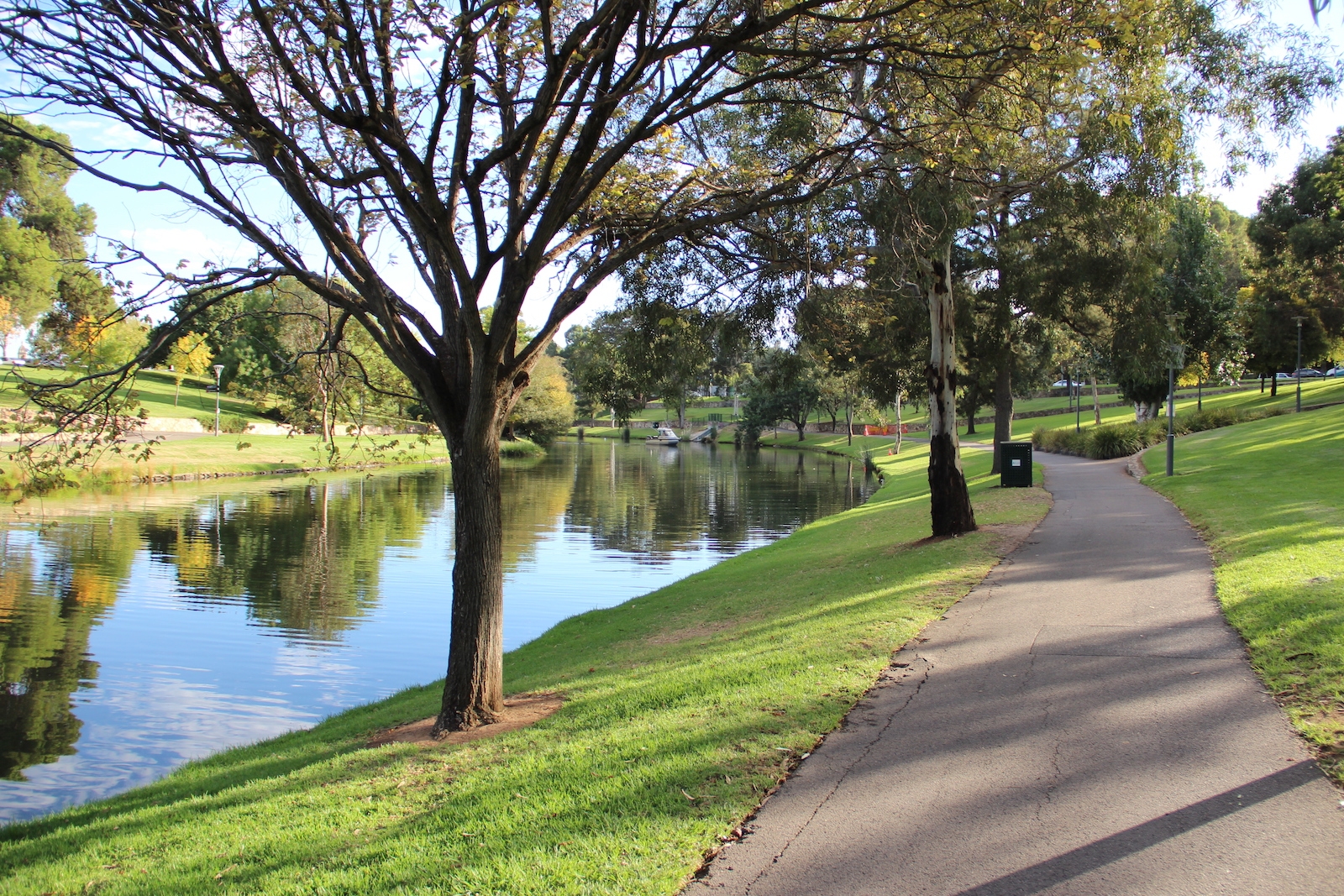 RIVER TORRENS RECOVERY PROJECT - Green Adelaide