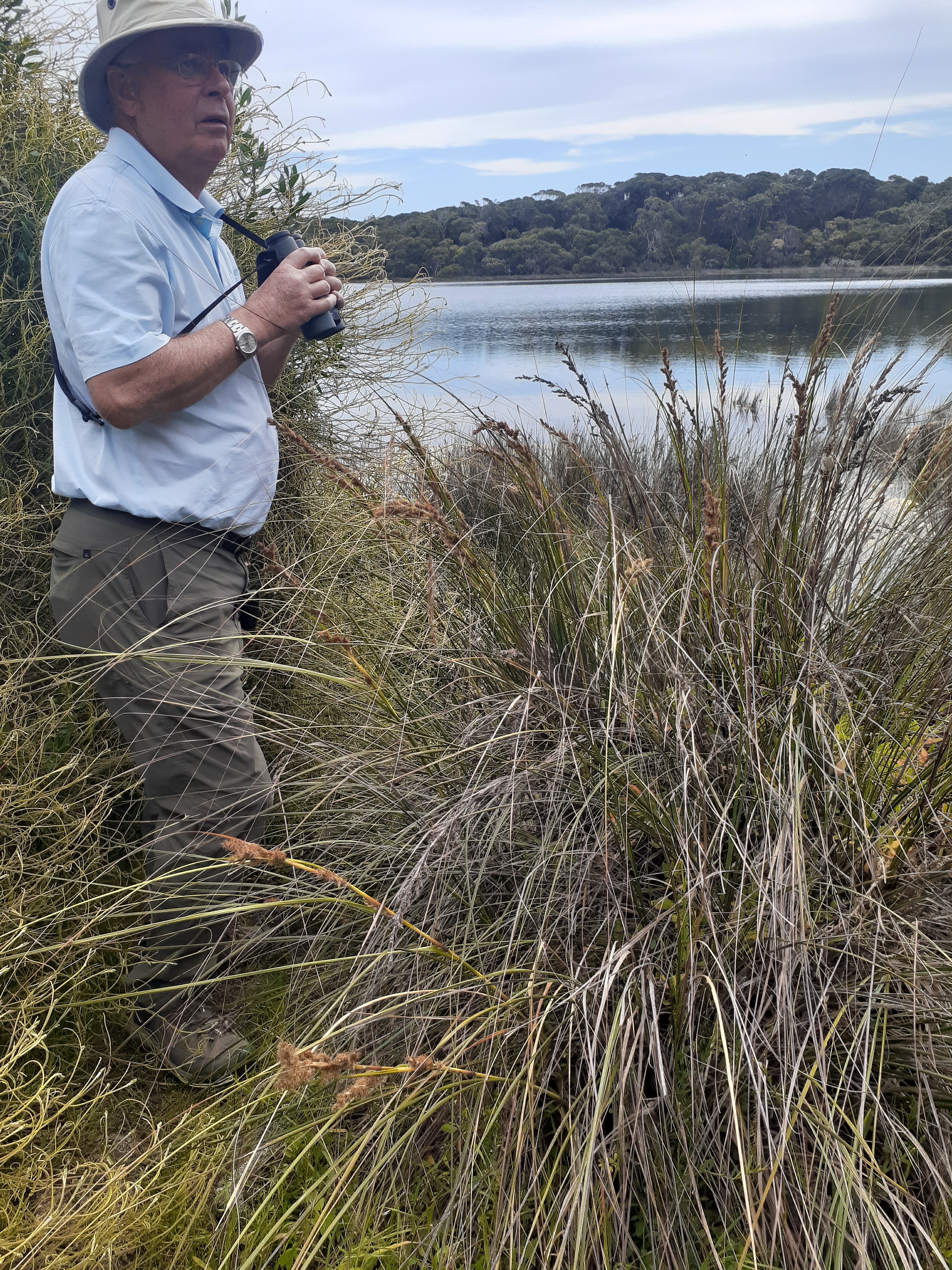 John Cobb birding in Tasmania