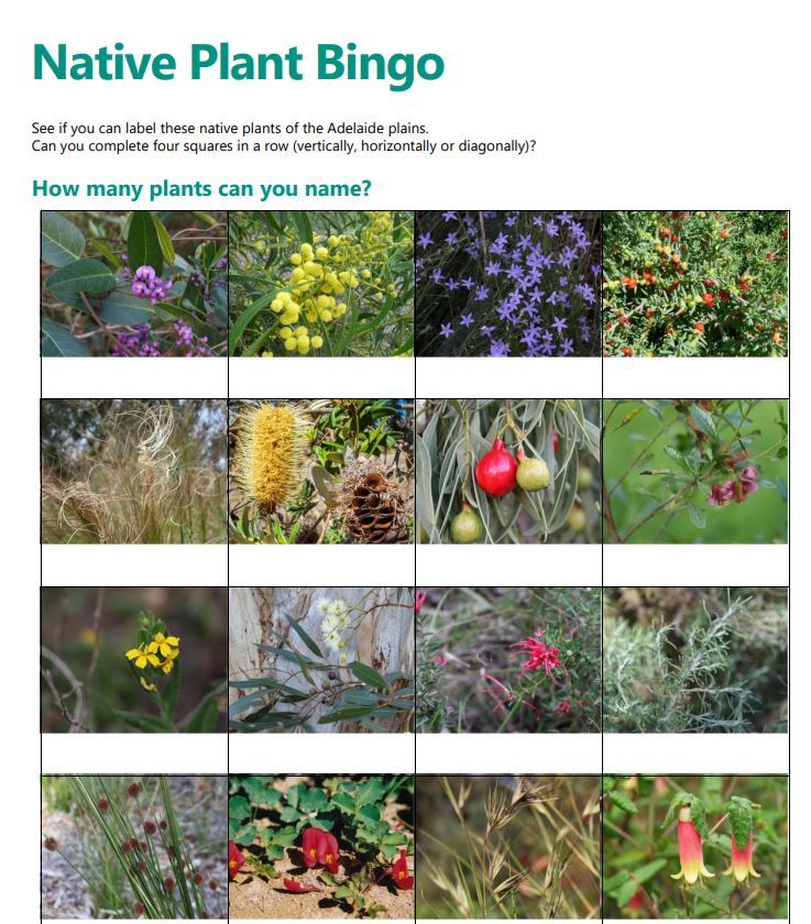 Native plant bingo - Green Adelaide