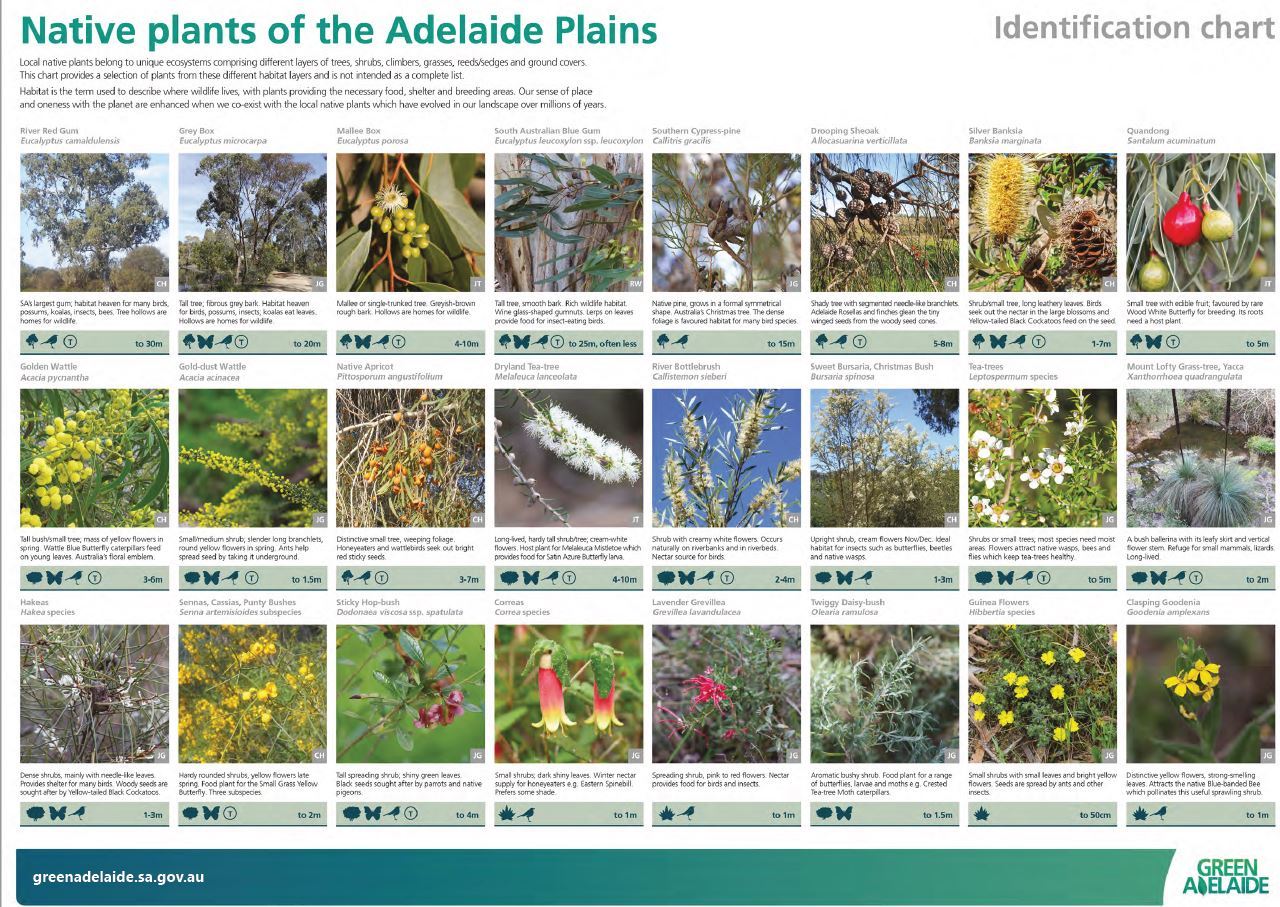 Native plants identification chart - Green Adelaide