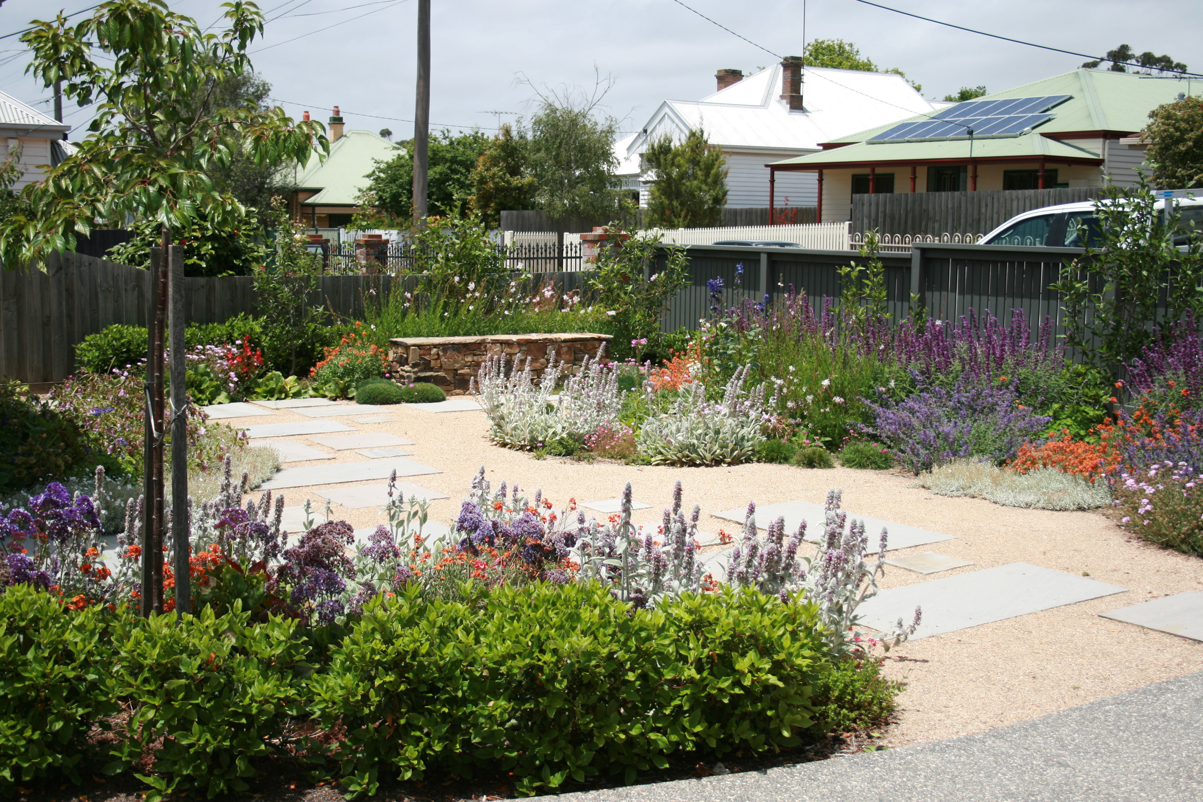 Mediterranean garden with flowers and shrubs surrounding large winding path made of stones and gravel. Design by Ocean Road Landscaping - Design and Construct. Photo by Peter Shaw.