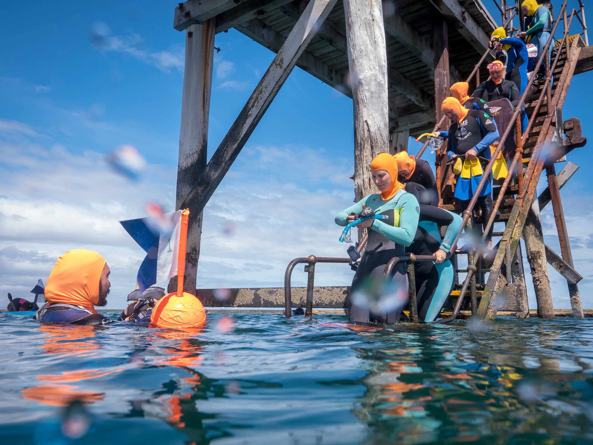 Apply now to become a coastal ambassador - Green Adelaide