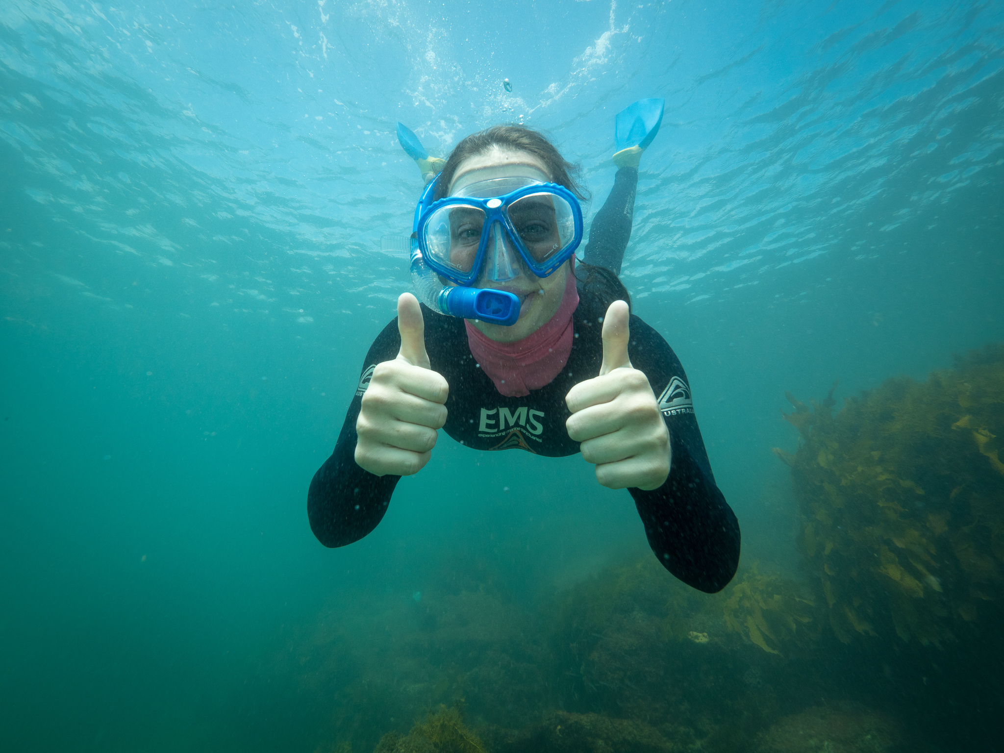 person underwater snorkelling