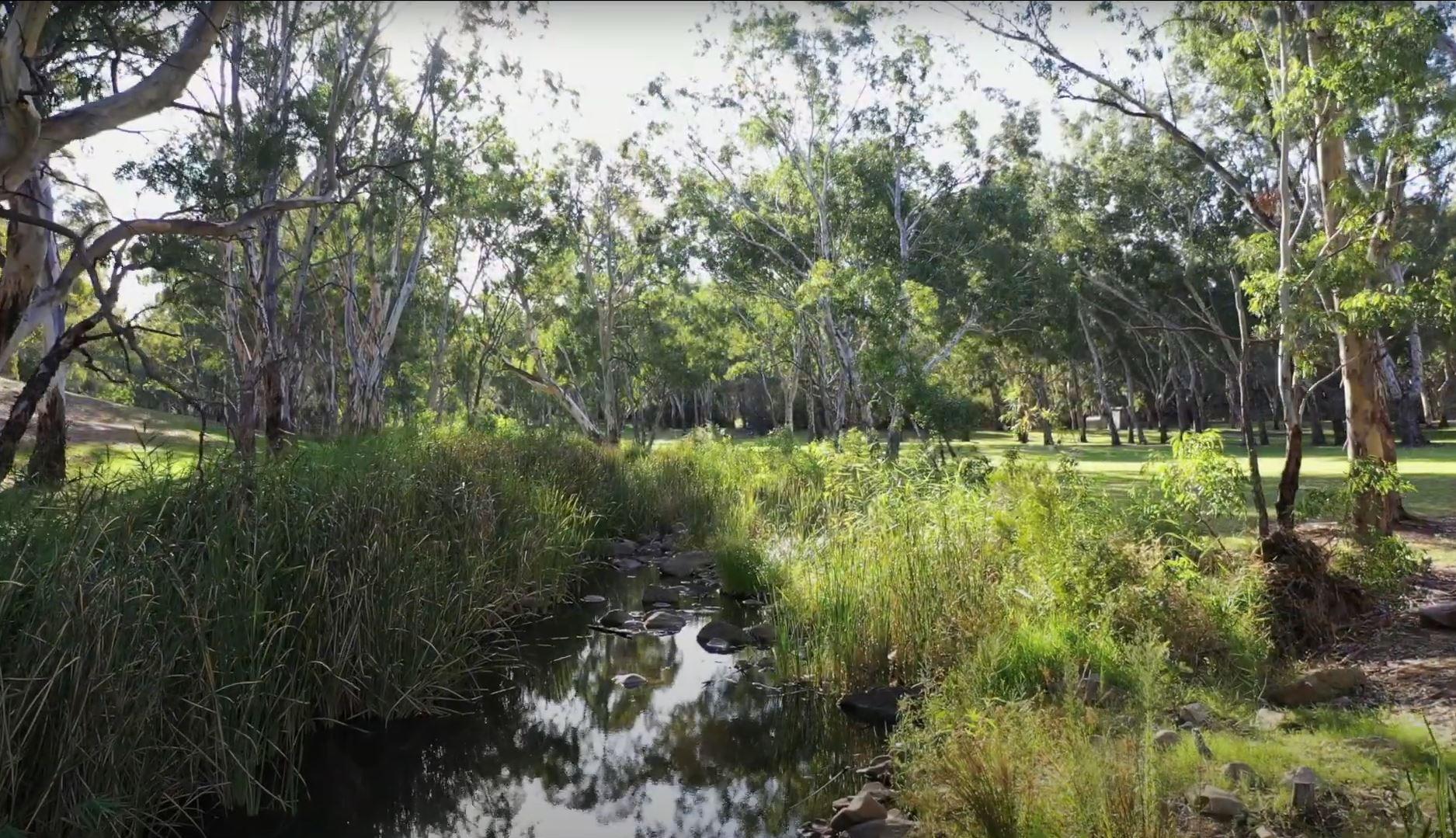 Urban River Torrens Recovery Project - Green Adelaide