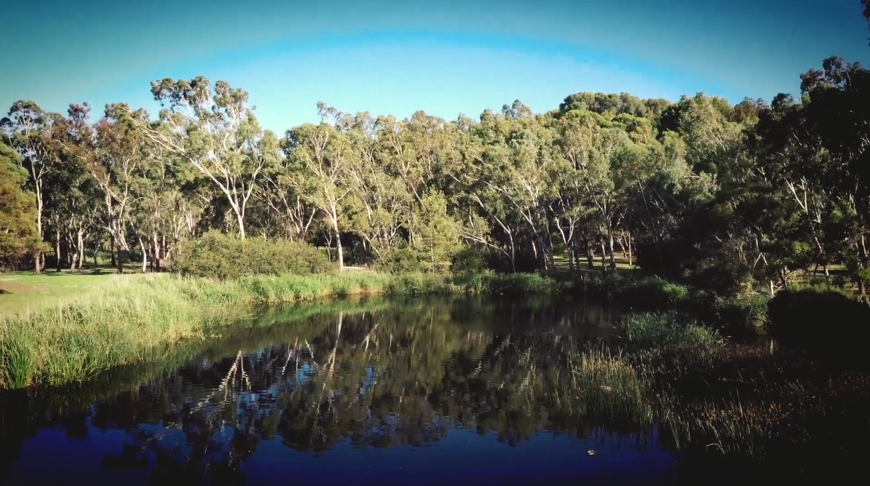 Healthy River Torrens