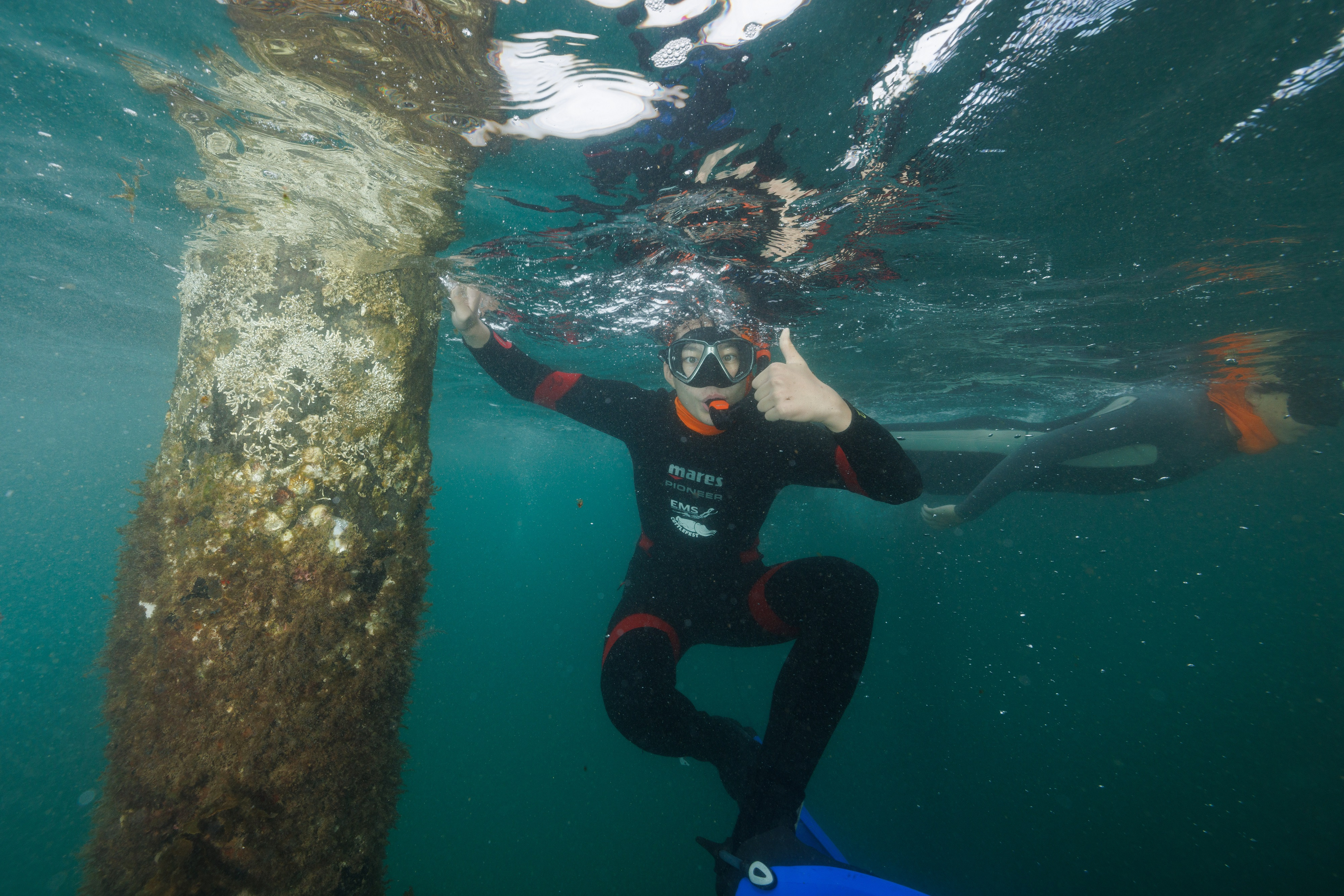 One of last year's ambassadors snorkelling at Pt Noarlunga. Photo: Stefan Andrews, Ocean Imaging.