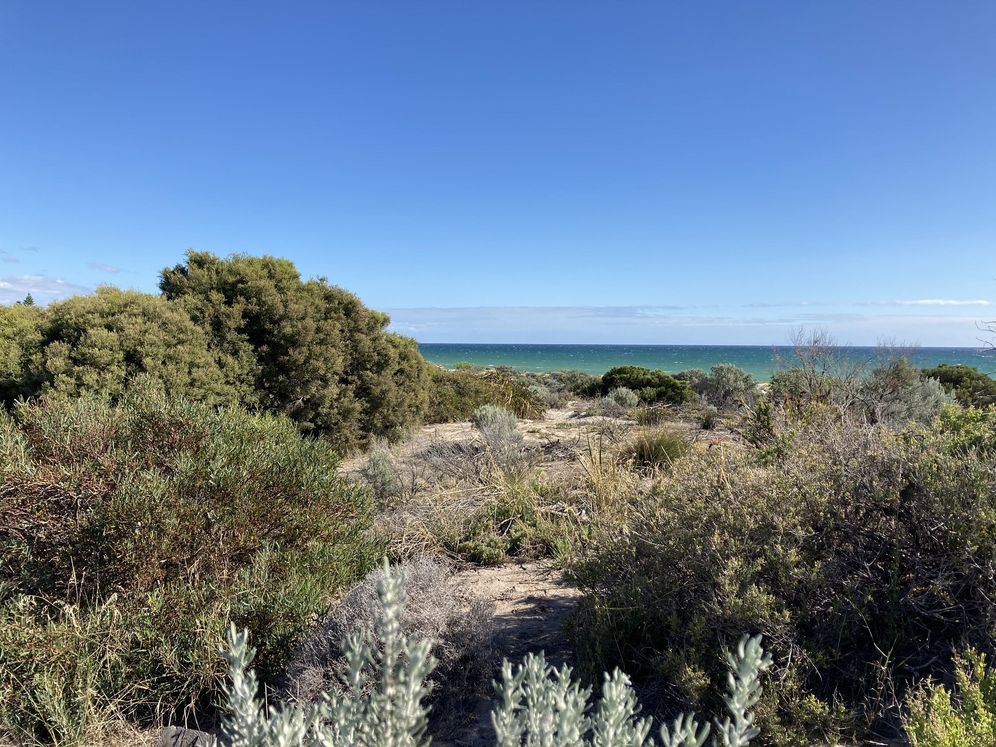 Coastal volunteers - Green Adelaide