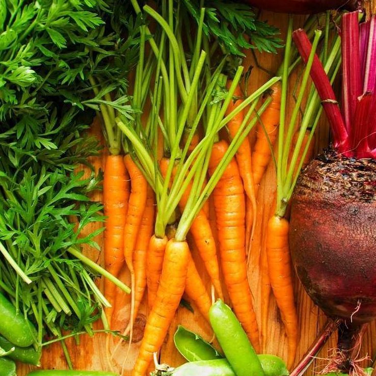 Carrots and beetroots