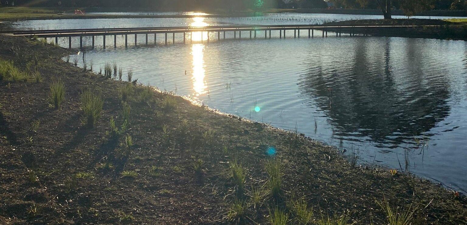 An image of a walkway over a wetland pool with the sun setting in the distance