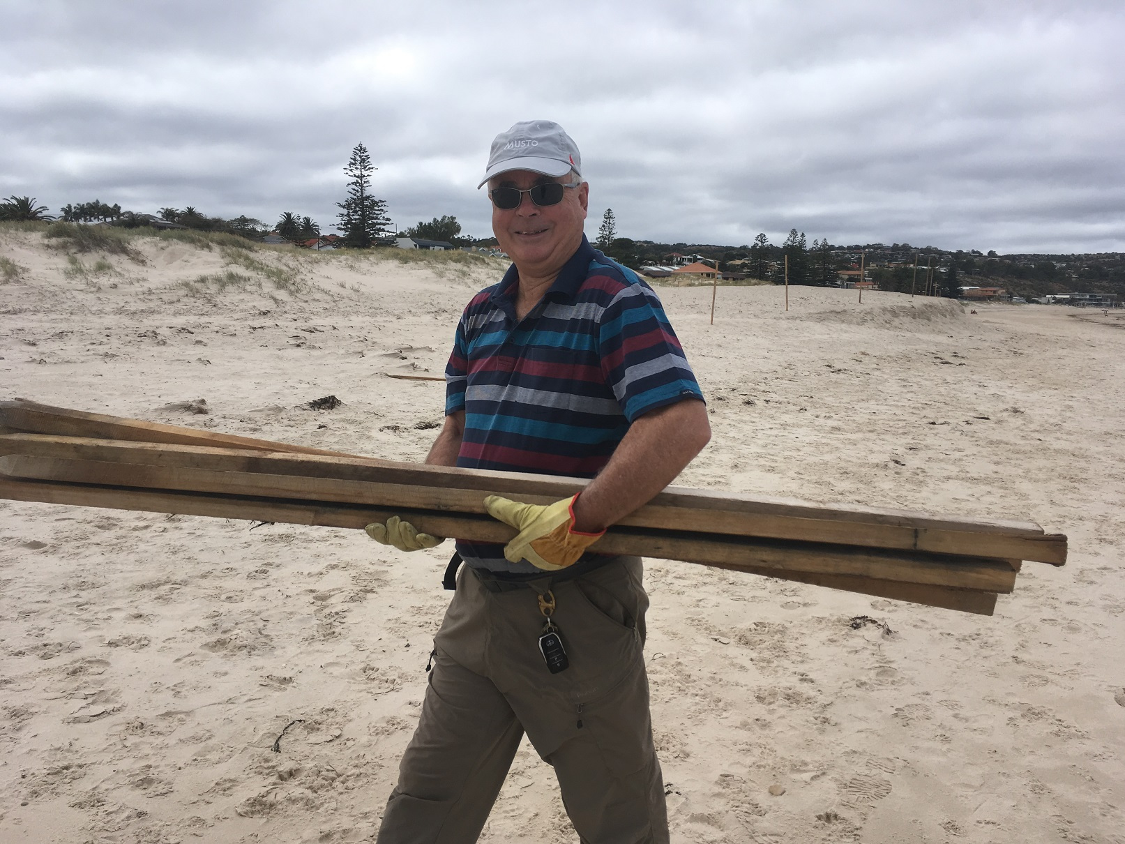 Volunteer John Cobb on a beach carrying timber to install a fence for Hooded Plovers