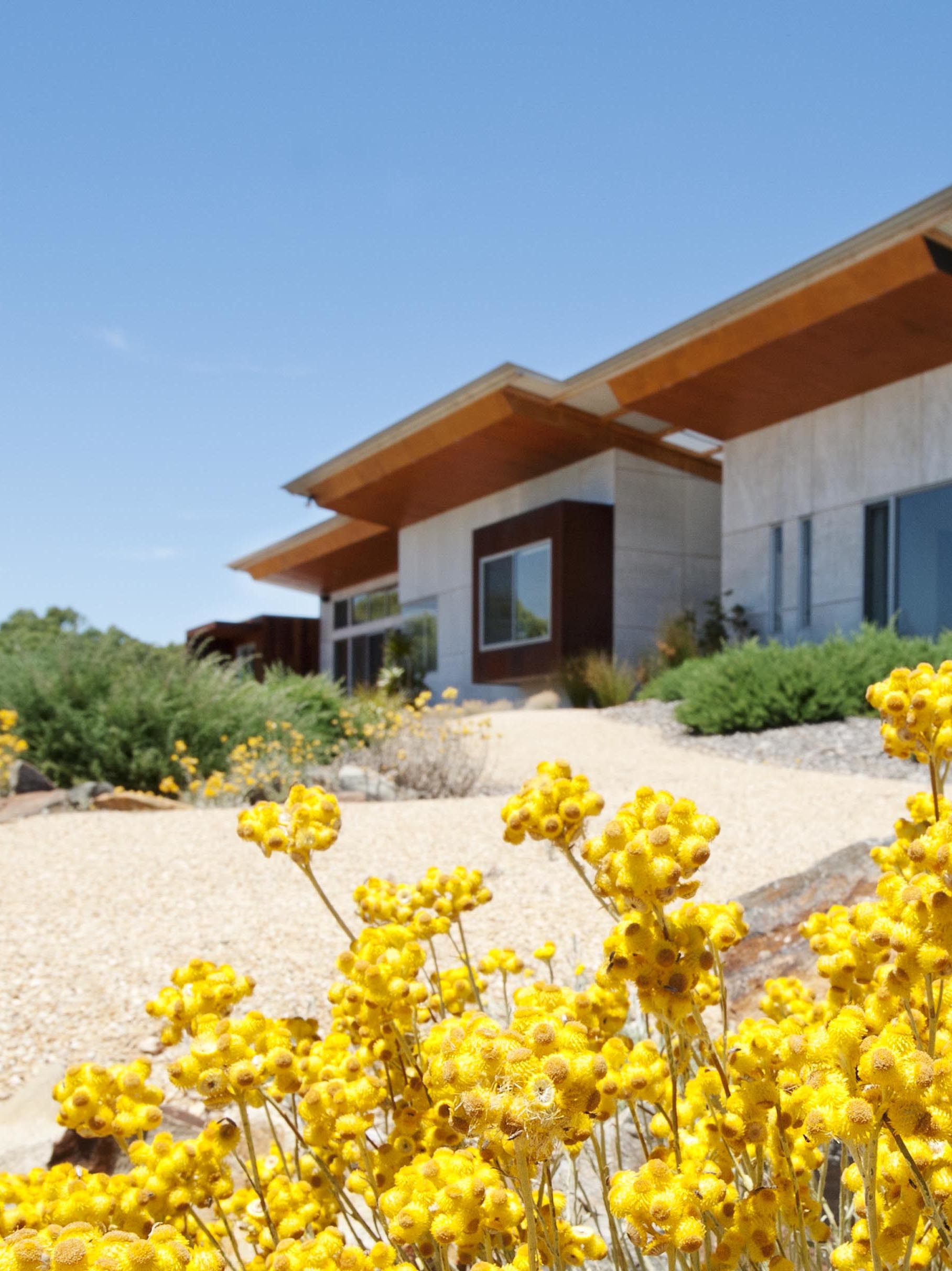 Native plants in a coastal garden-Nick Fewster, Urban Sustainable Landscapes.