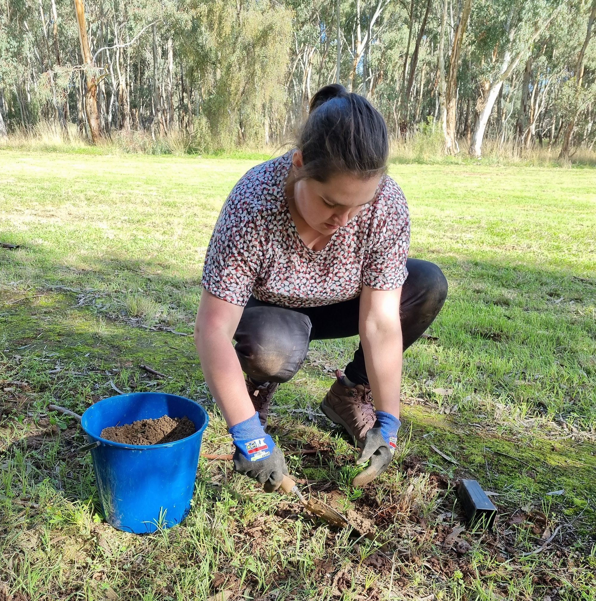 Eloise planting.