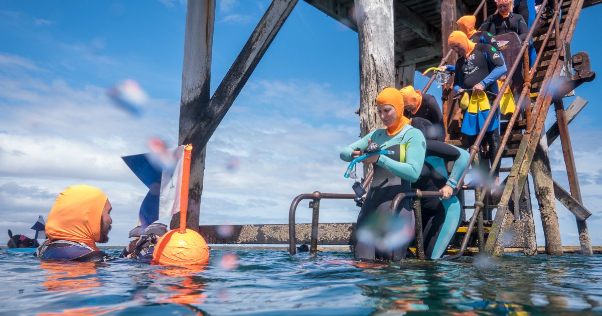 Apply now to become a coastal ambassador | Green Adelaide