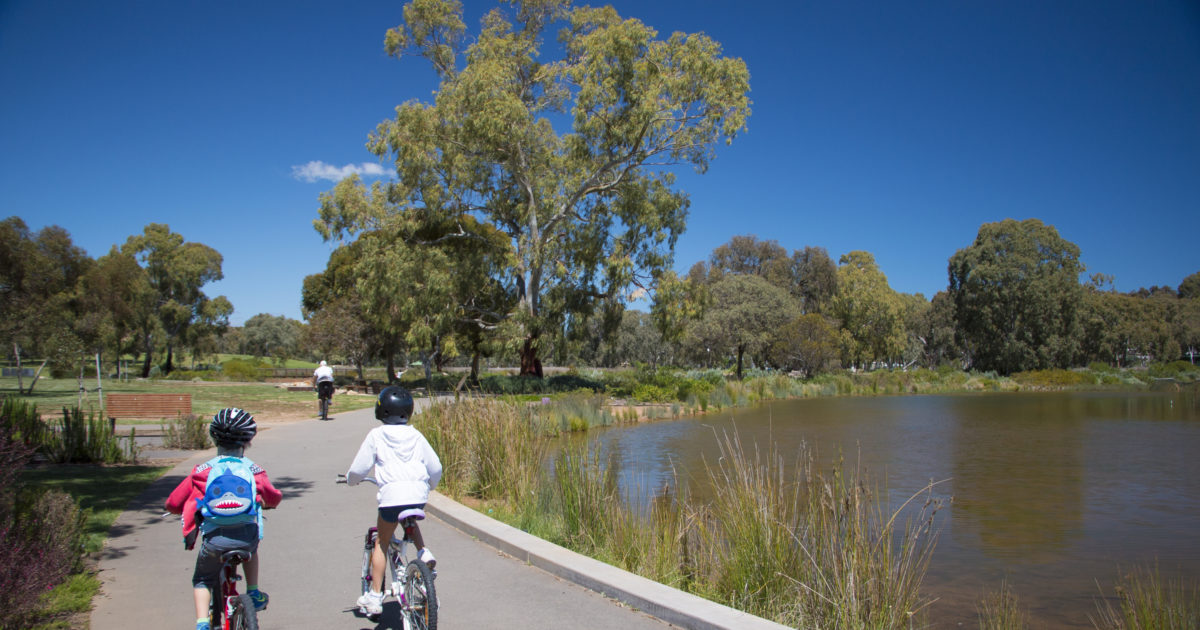 12 of Adelaide’s best wetlands to visit Green Adelaide