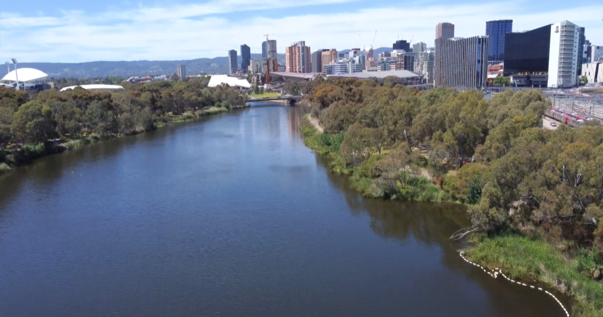 Everything you need to know about Adelaide’s River Torrens/Karrawirra