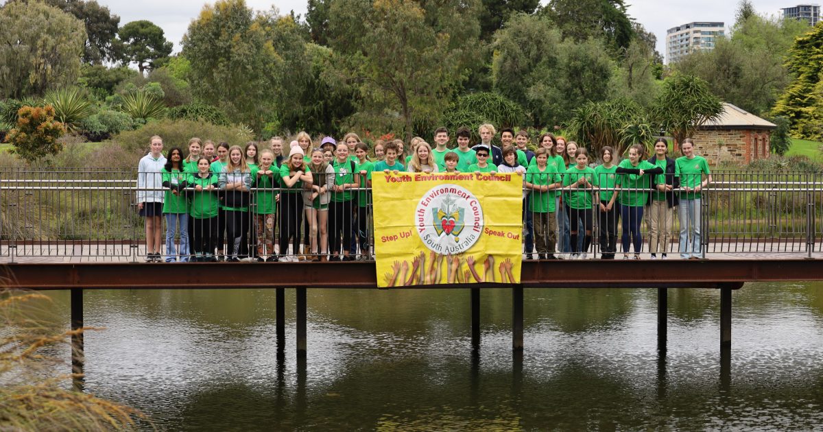 Everything you need to know about the Youth Environment Council in SA