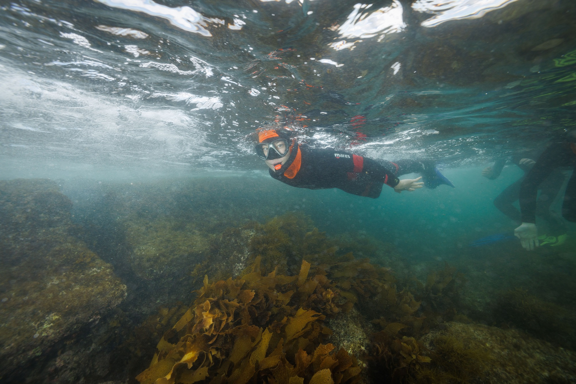 A person snorkelling.