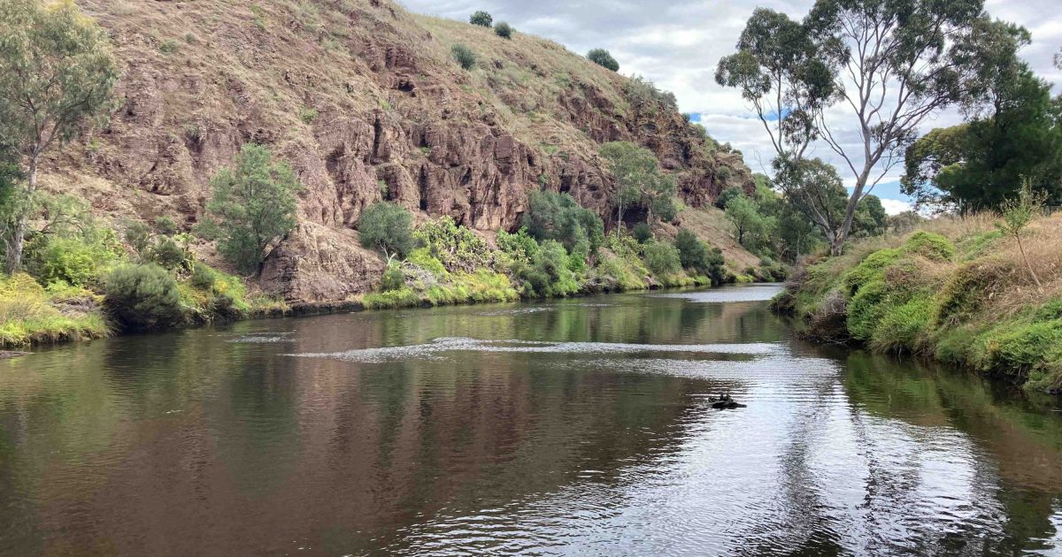 Get to know 8 rivers in Adelaide that aren’t the… Green Adelaide