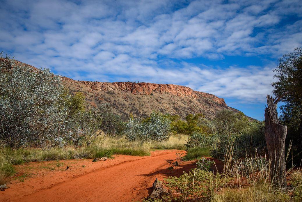 Alice Springs Desert Park.
