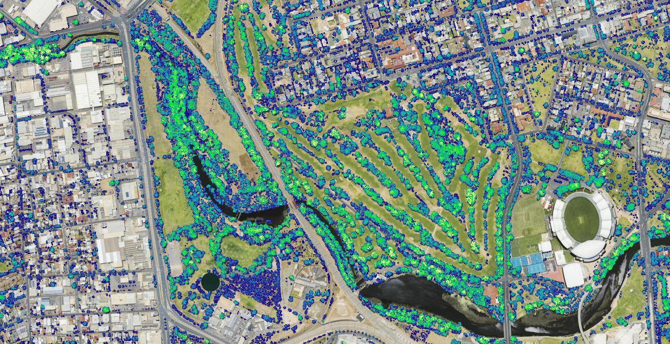 Tree canopy mapping.