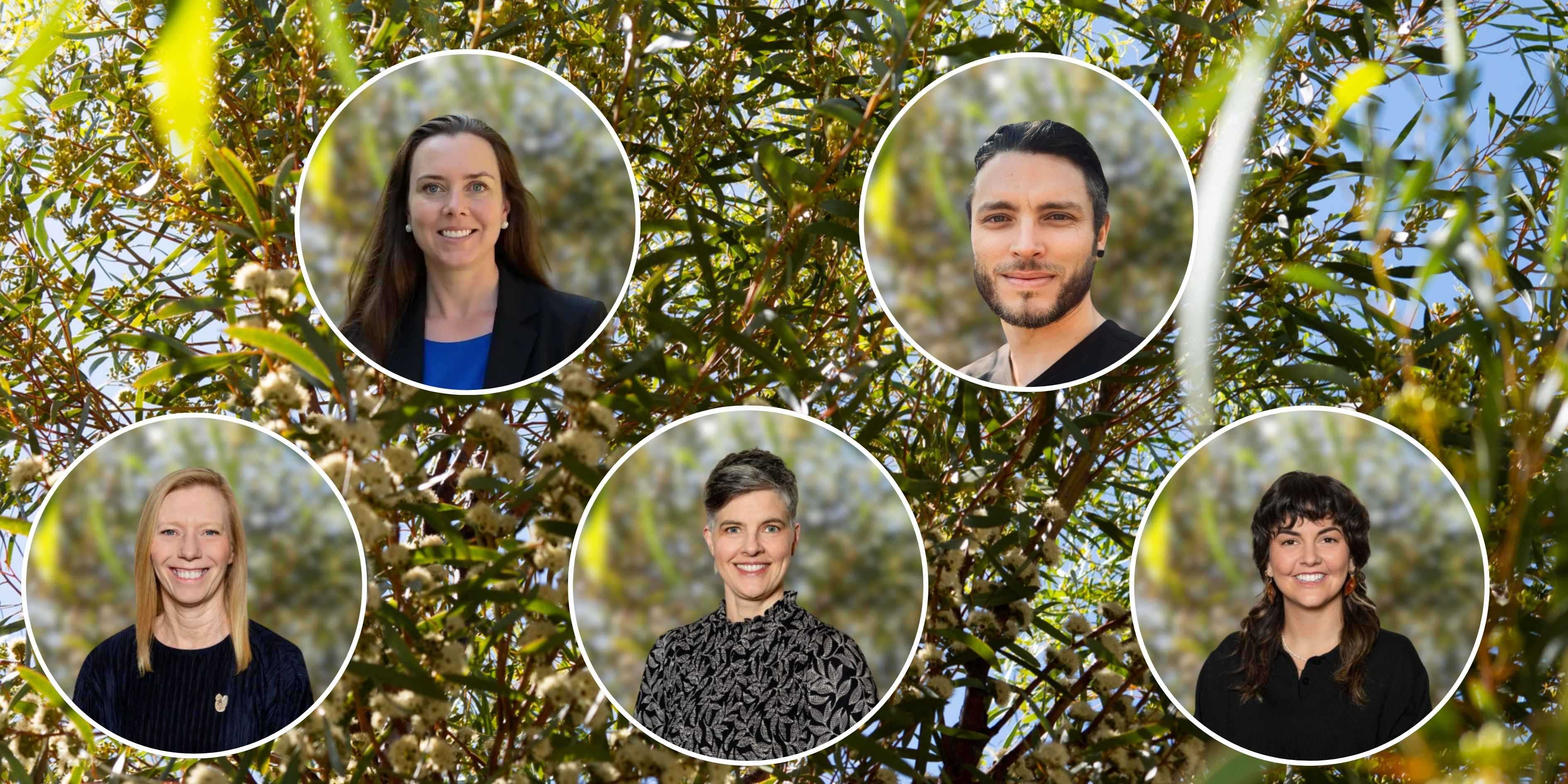 5 appointments made to the Green Adelaide board. Image shows 5 new appointees including Helen Donovan, Jake Robinson, Melanie Ford, Natasha Davis and Tiahni Adamson. They are in circles against a natural, green background.