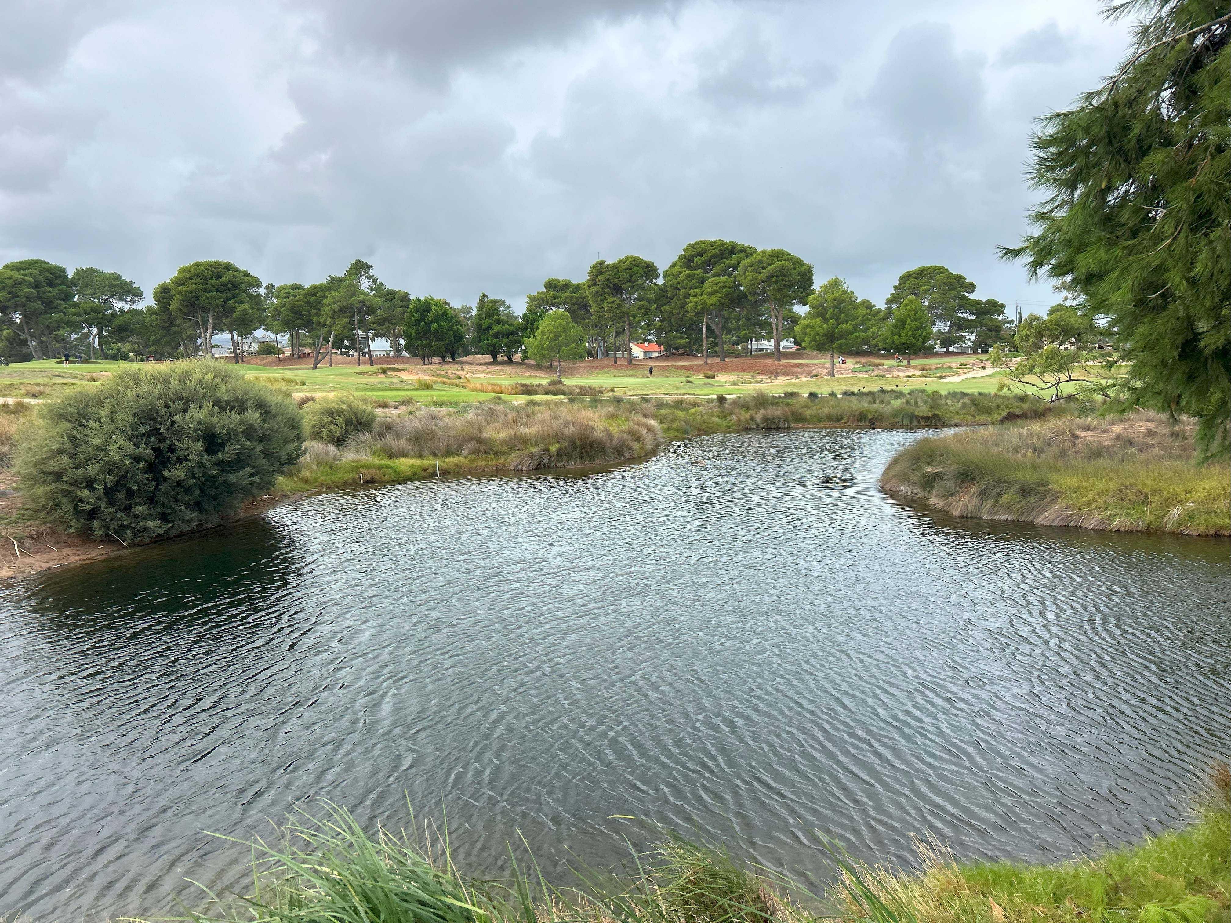 Murray hardyheads will now call Glenelg Golf COurse home, image shows a waterway with golf course in the background
