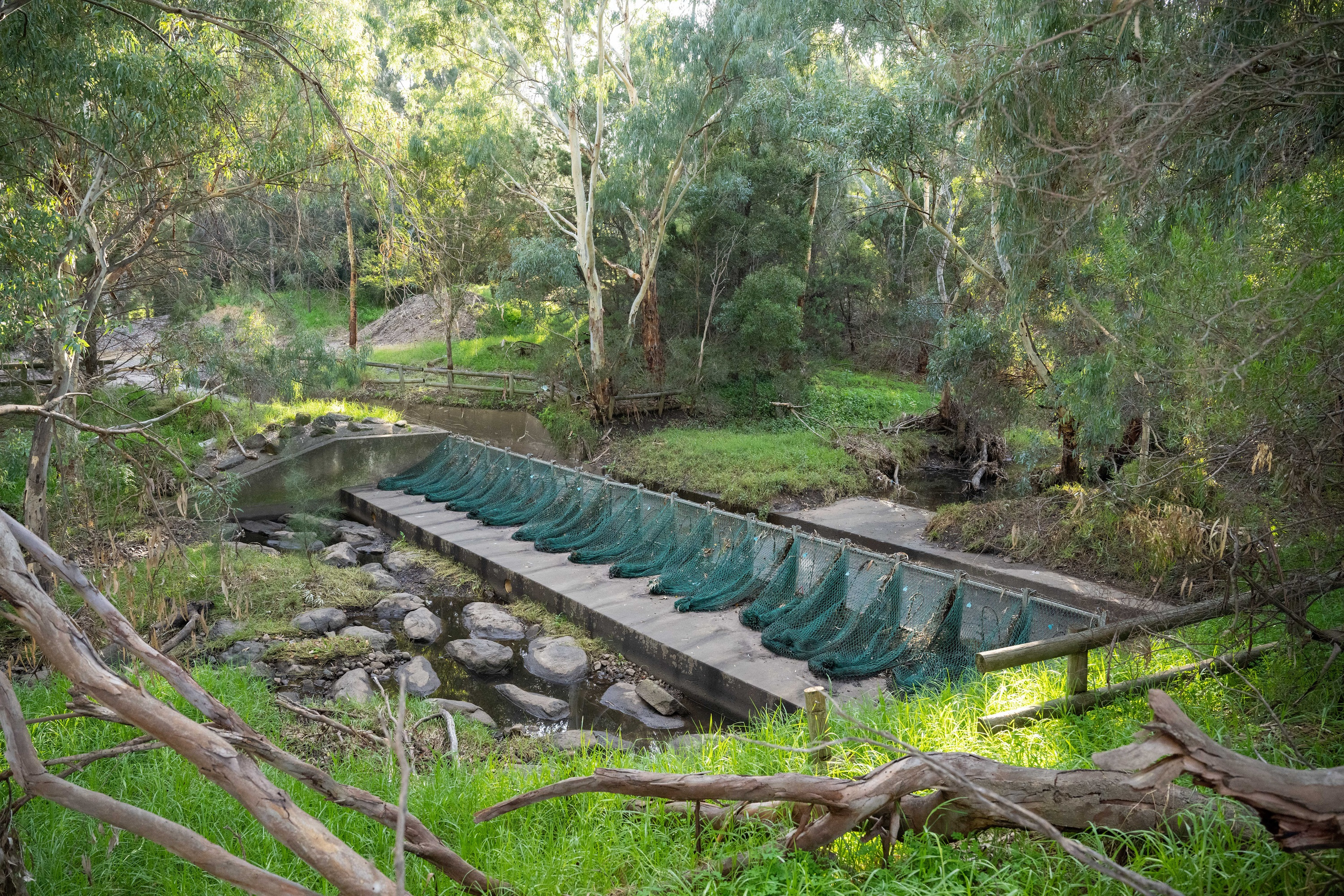 A trash rack at Felixstow, along the River Torrens / Karrawirra Pari.
