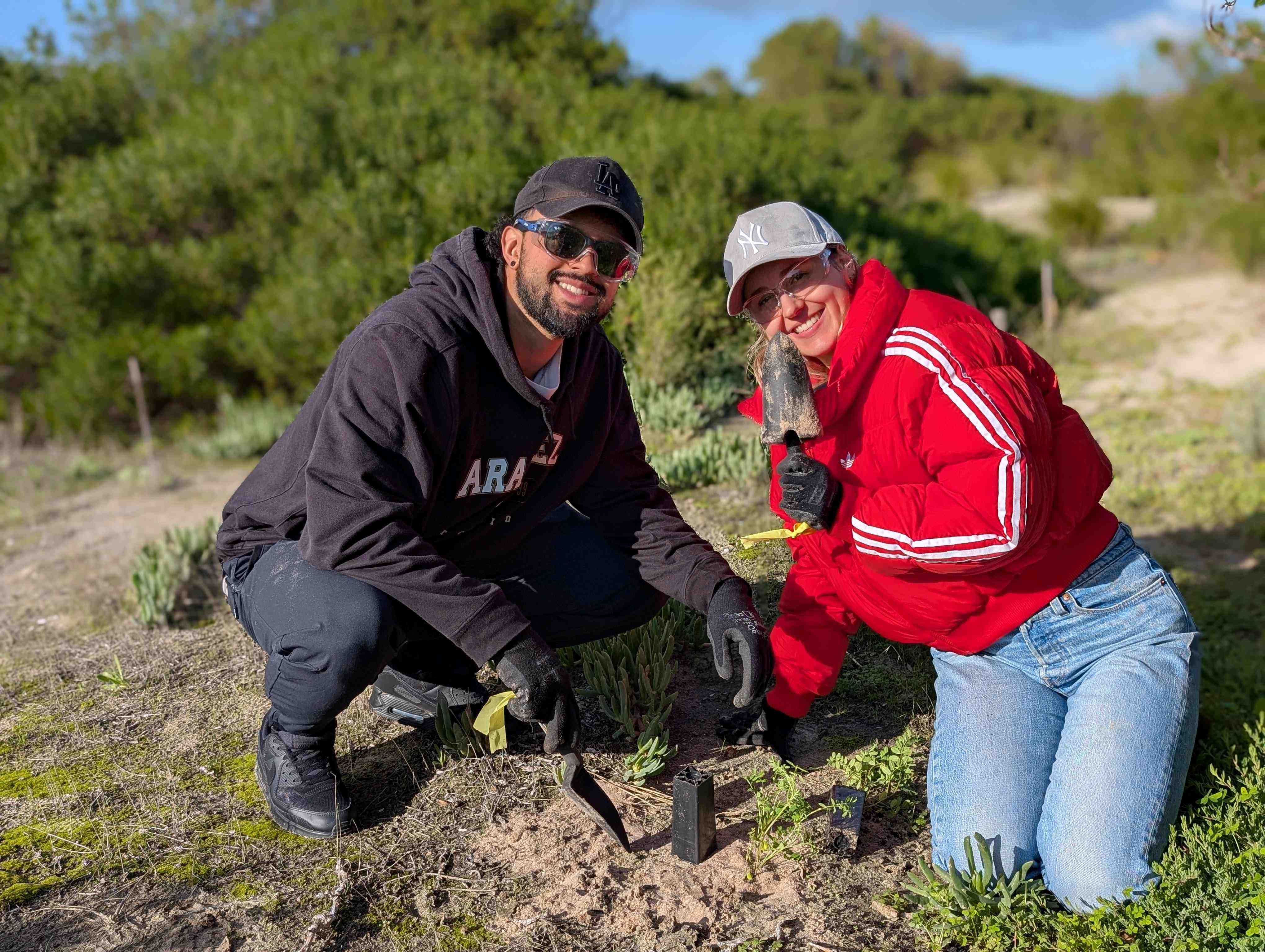 Volunteers assist with planting at North Haven. Photo: Trees For Life